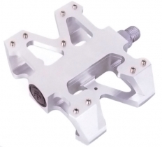 Alloy Pedal (BGJ-622)