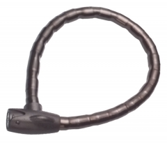 Joint Lock (BRA-010)